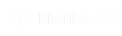 Logo Motive 3.0